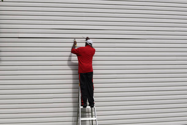 Best Aluminum Siding Installation  in Show Low, AZ