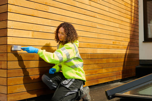 Best Siding Painting and Refinishing  in Show Low, AZ